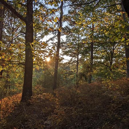 Loblolly Pines Adventure Cabin 3 - King Eureka Springs Buitenkant foto