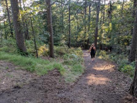 Loblolly Pines Adventure Cabin 3 - King Eureka Springs Buitenkant foto